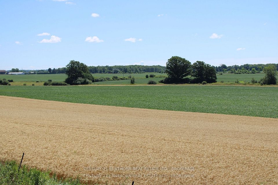 X12958256/X12958256-5.jpg