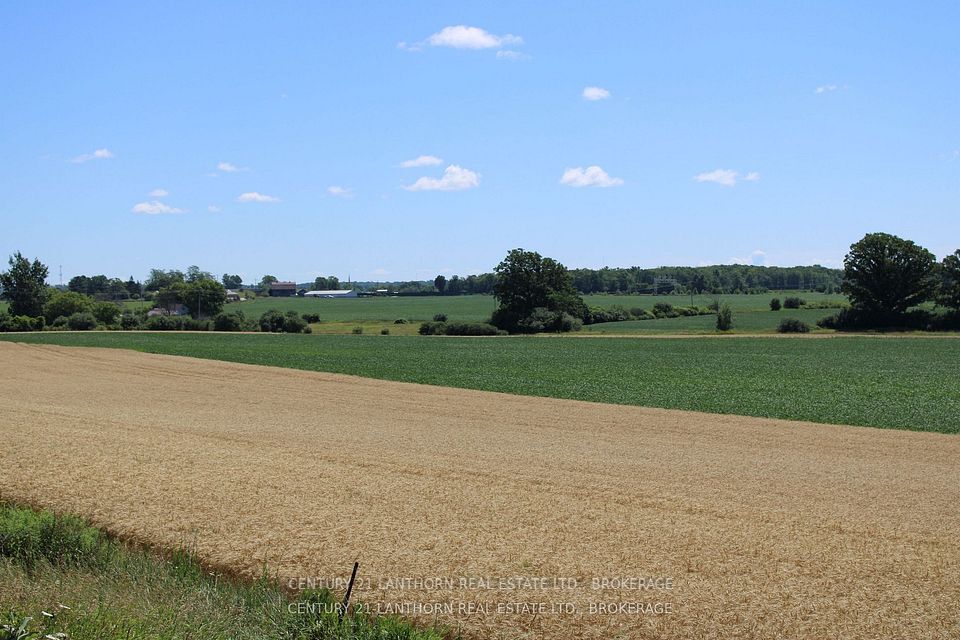 X12958256/X12958256-6.jpg