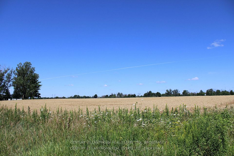 X12958264/X12958264-4.jpg