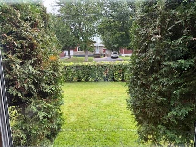 view from living room window