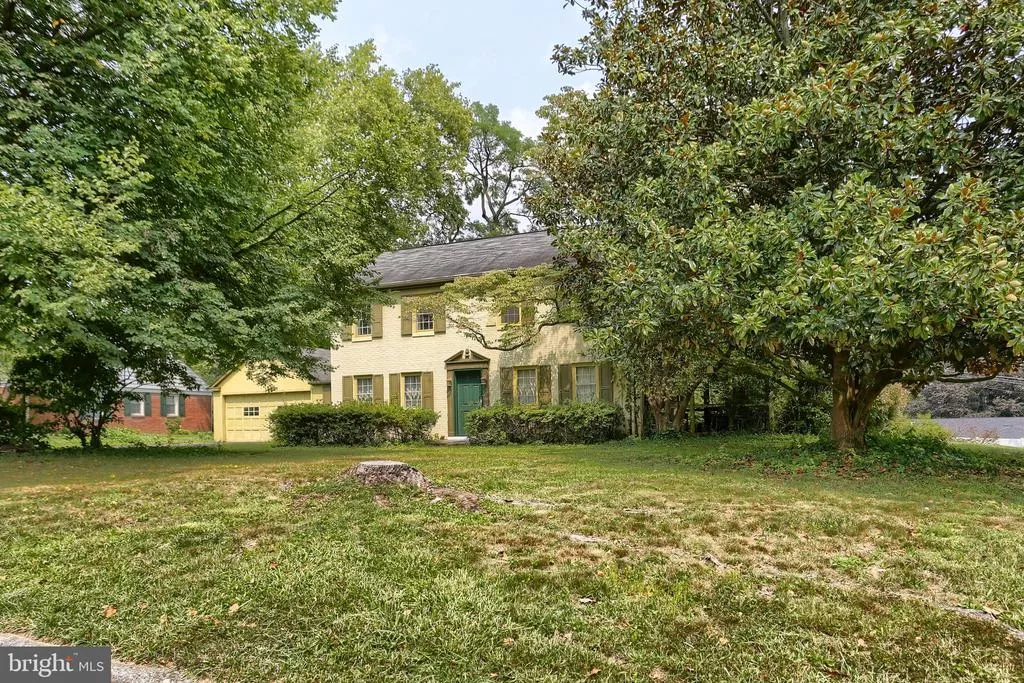 Main Image