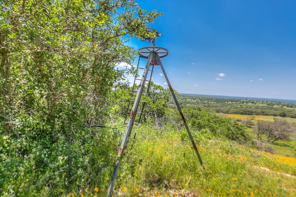 Property Views