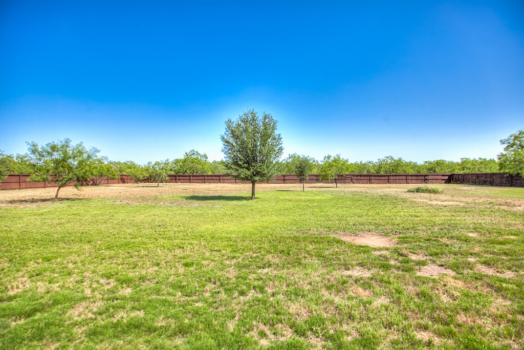 Back yard