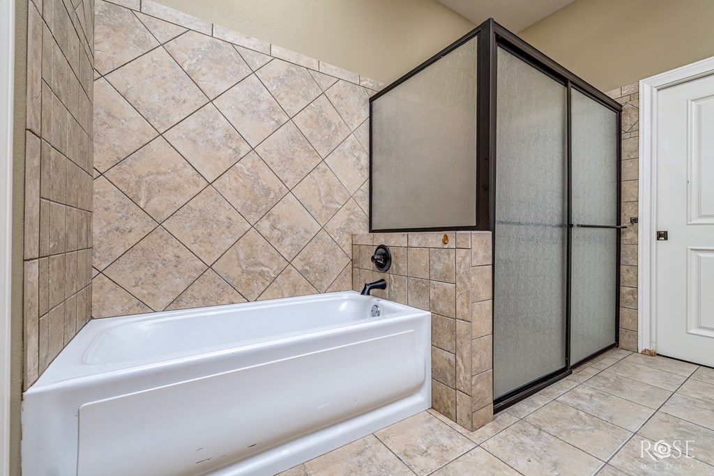 Bathtub and Shower Area in Master