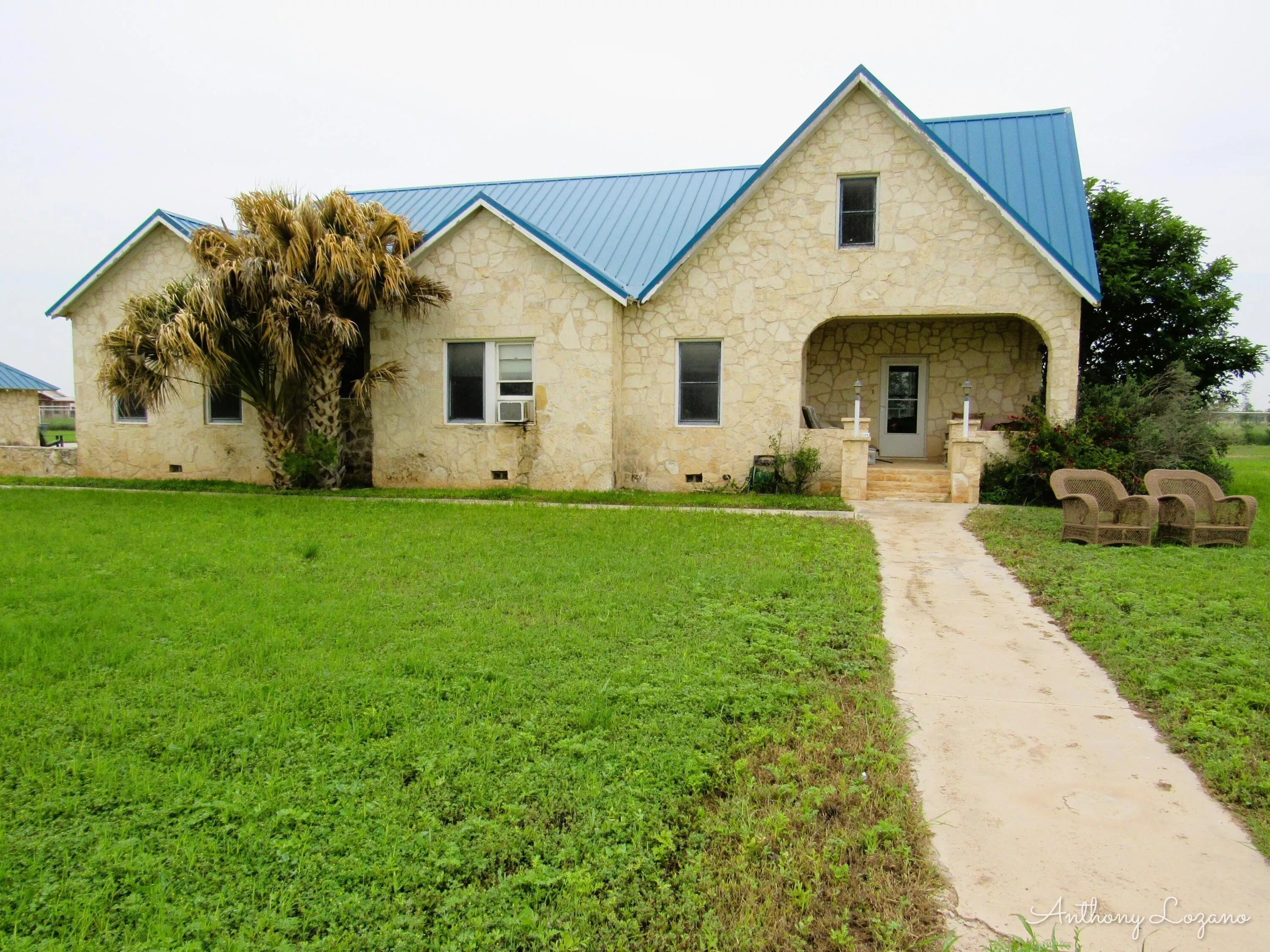 Main Image