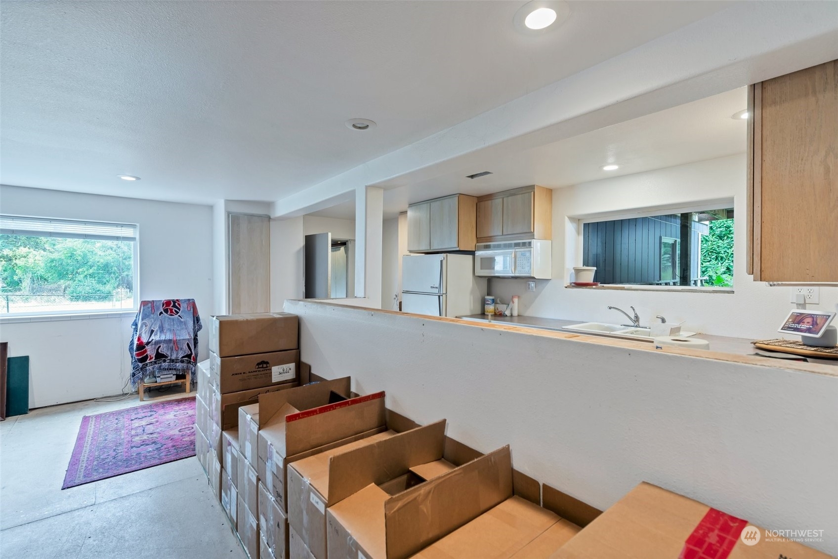 Lower level living room