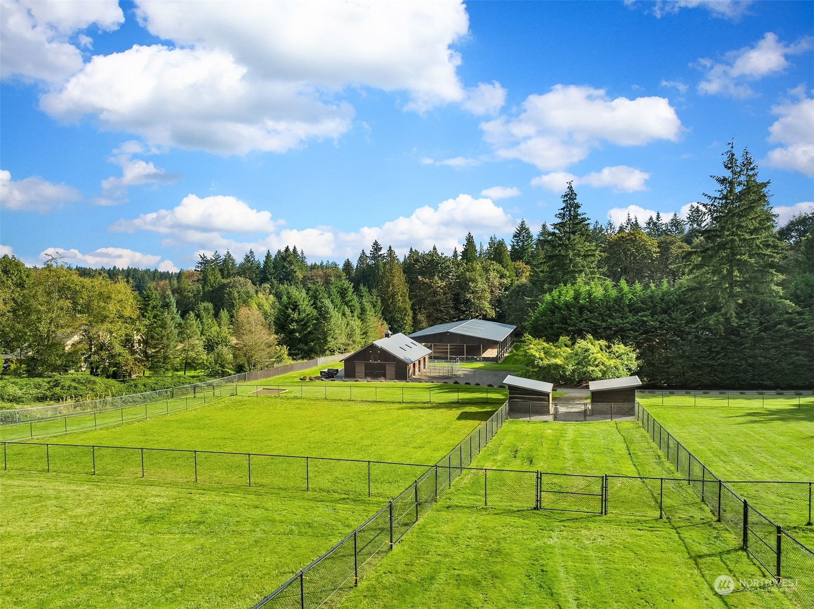 Loafing sheds, fenced and cross fenced pastures