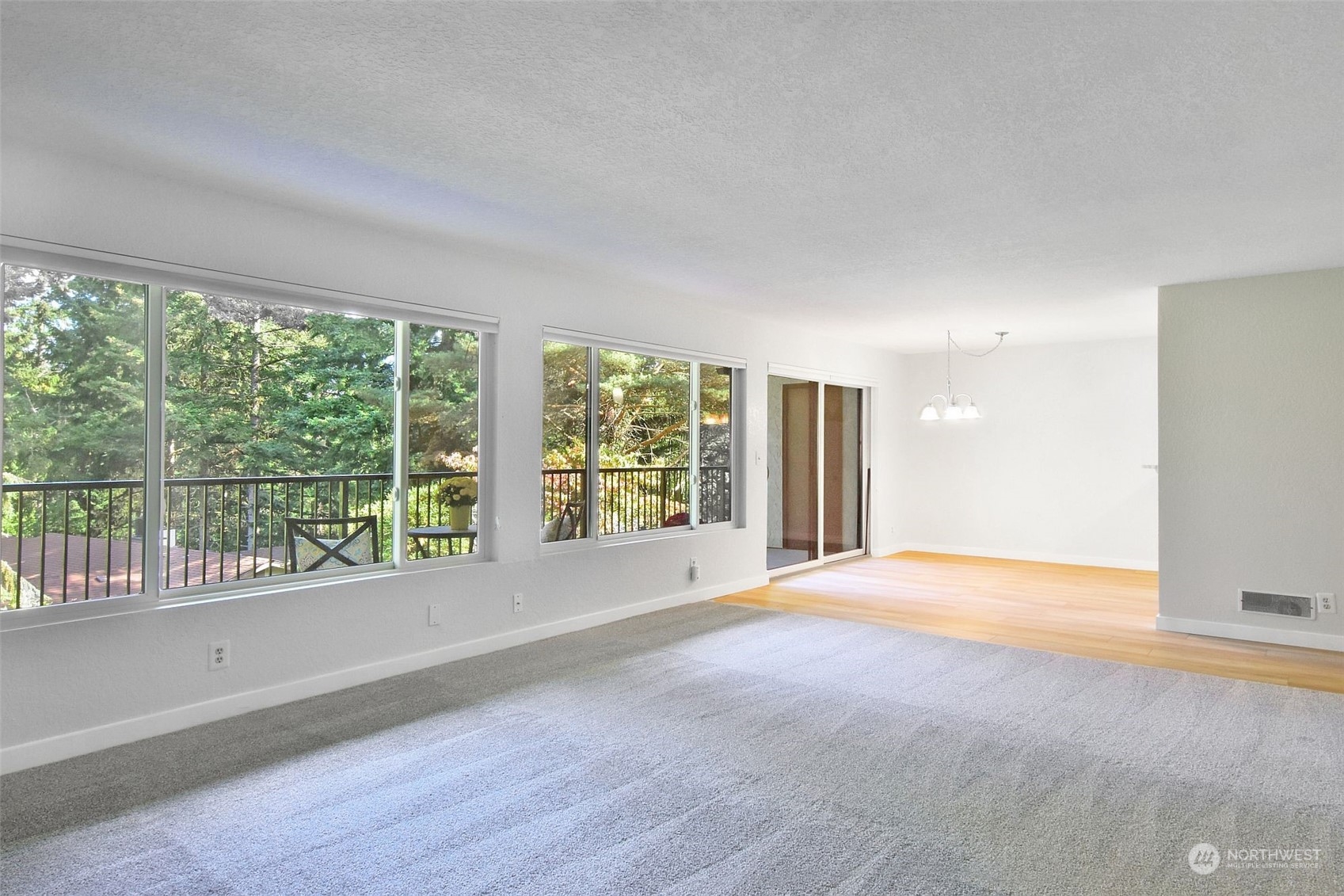 Living room with full wall of windows. Lost of nautral light.