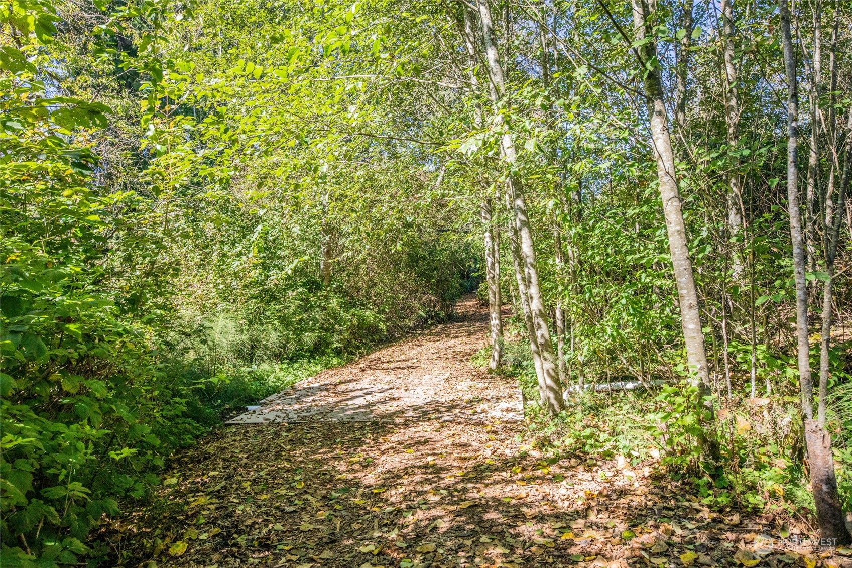 Multiple trails throughout your own private park. Many trails expansive enough for equestrian use.