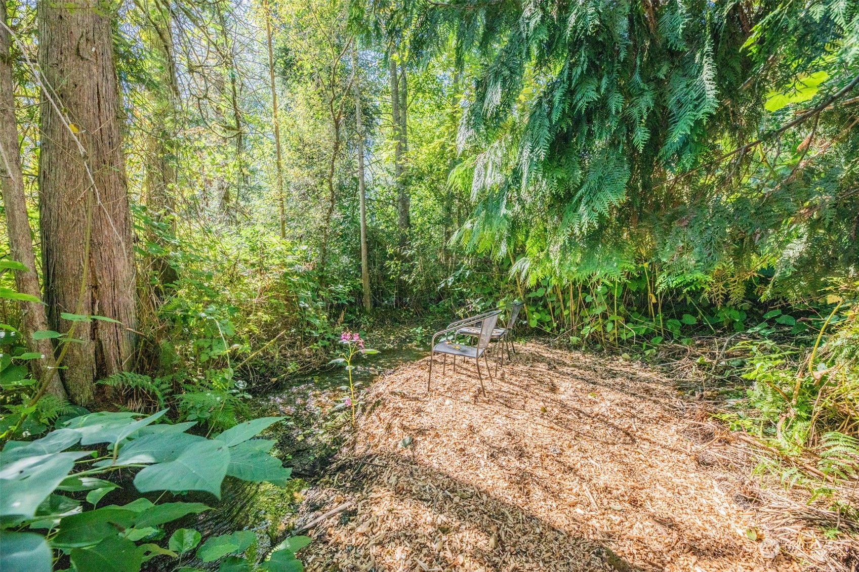 One of many trails leads you to the edge of Bear Creek. You will be taken back by the fresh scent of nature and the salmon spawning in the stream.