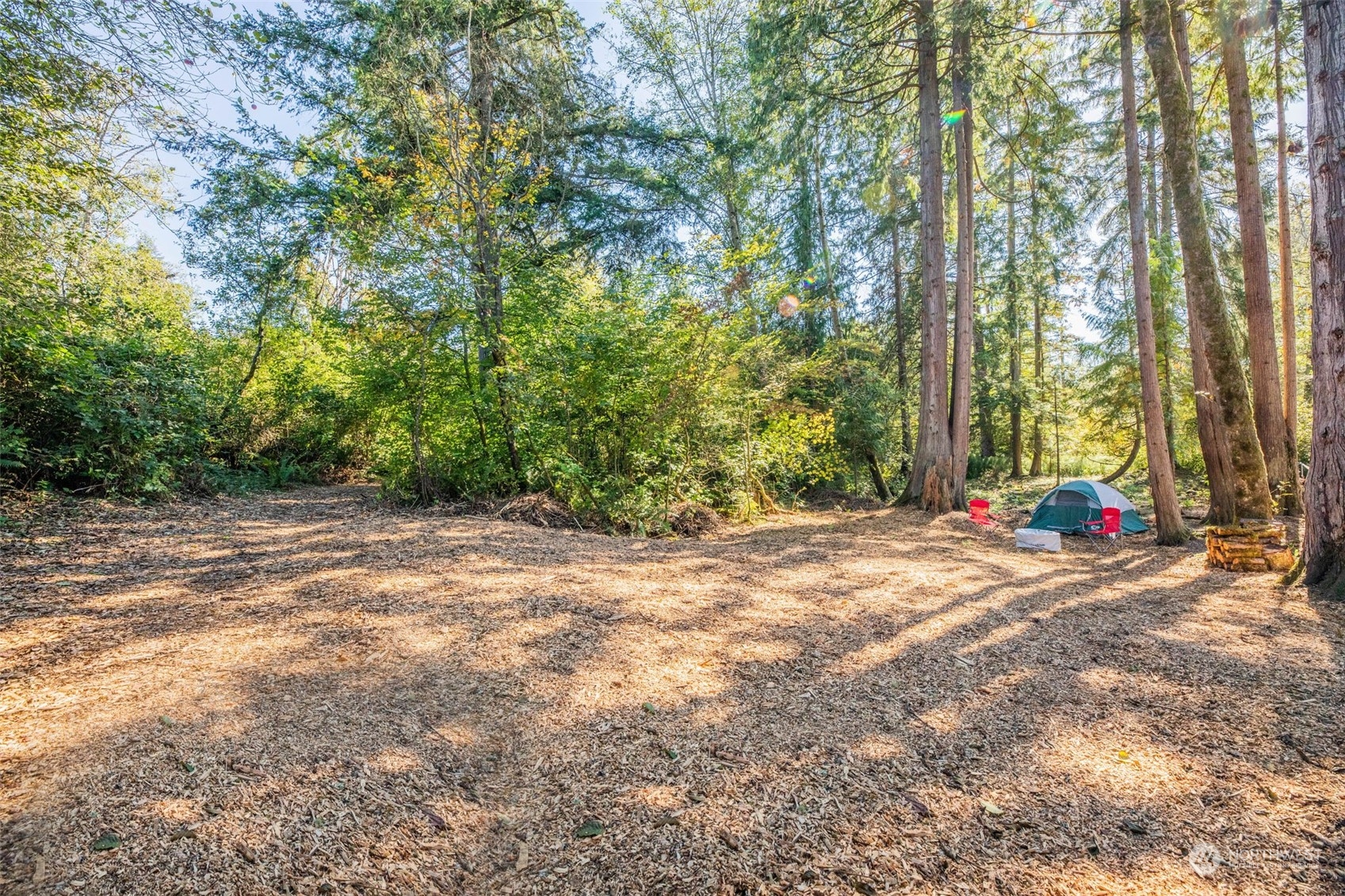 Need a getaway? Go camping... in your own forest. This is paradise.