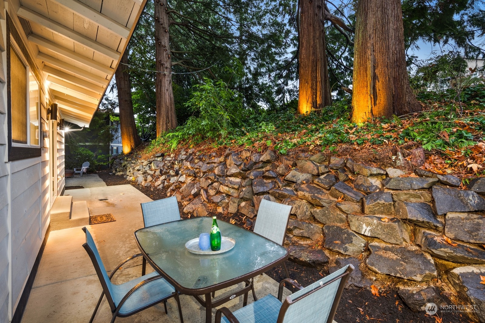 Private back patio. Concrete work and drainage all new with new exterior feature lighting on landscaping.