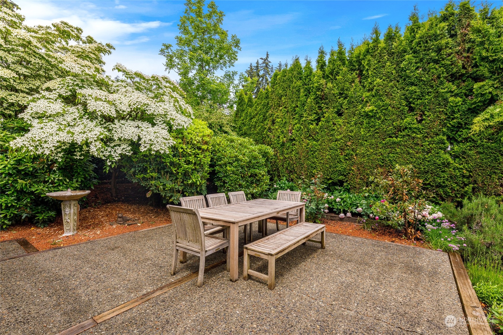 Back yard patio area