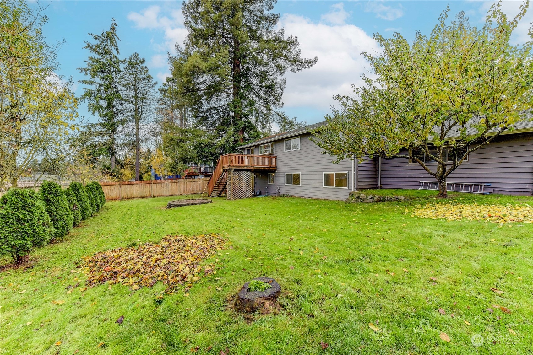 Large fully fenced back yard