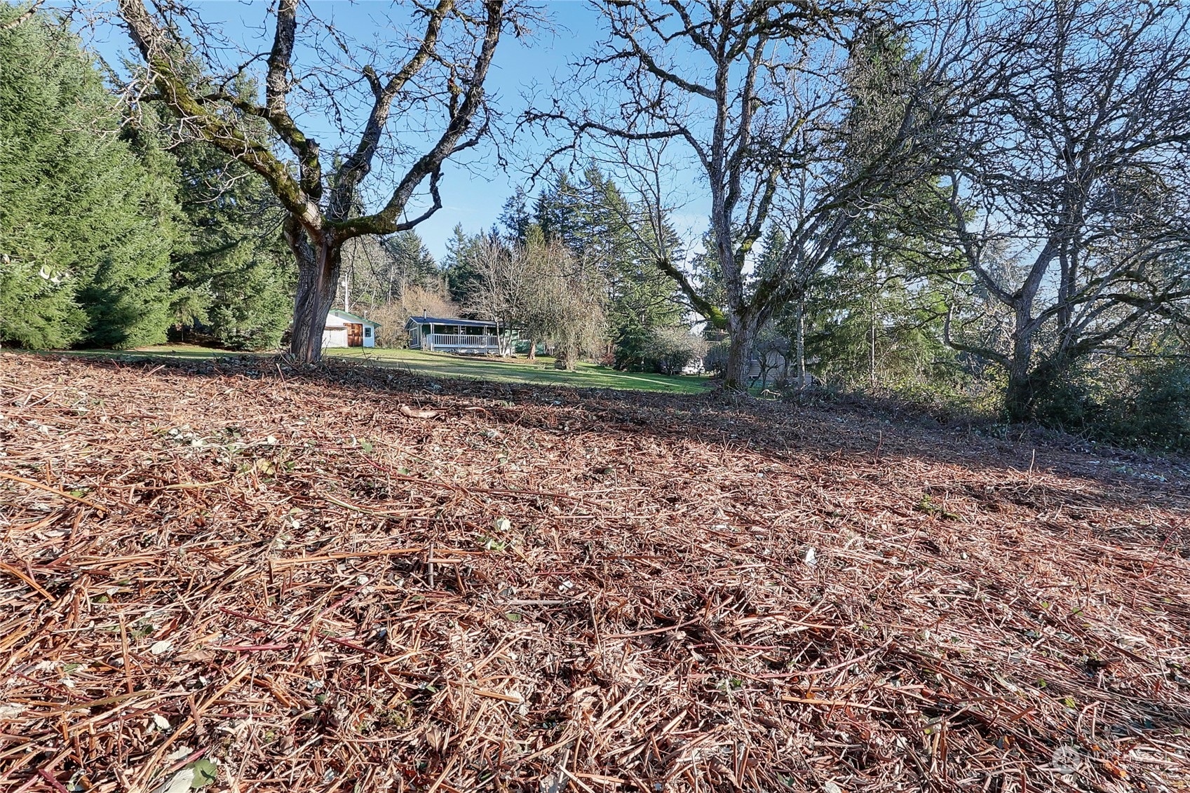 View from the middle of the property looking back at the house.