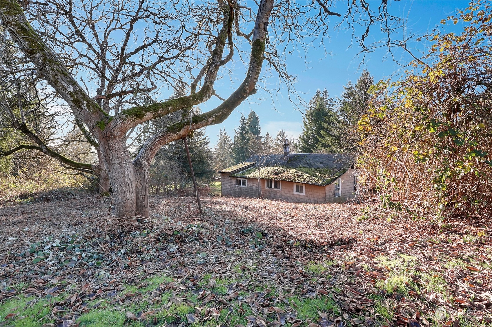 View from the Top portion of the Lot, behind the house.