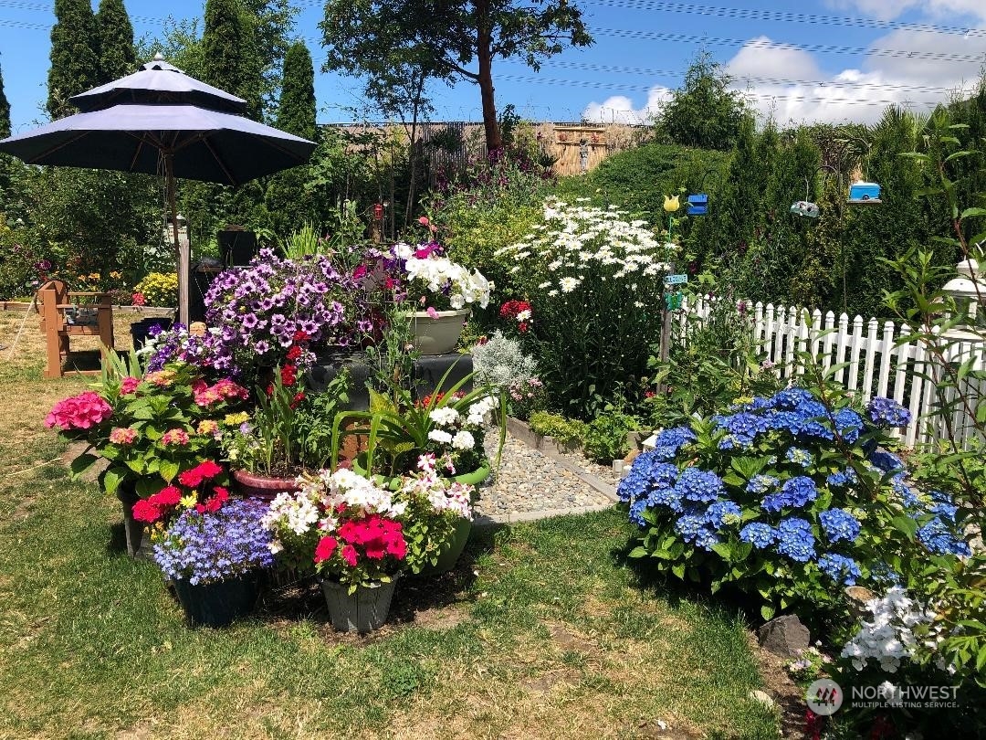 Park like setting backyard in the Spring