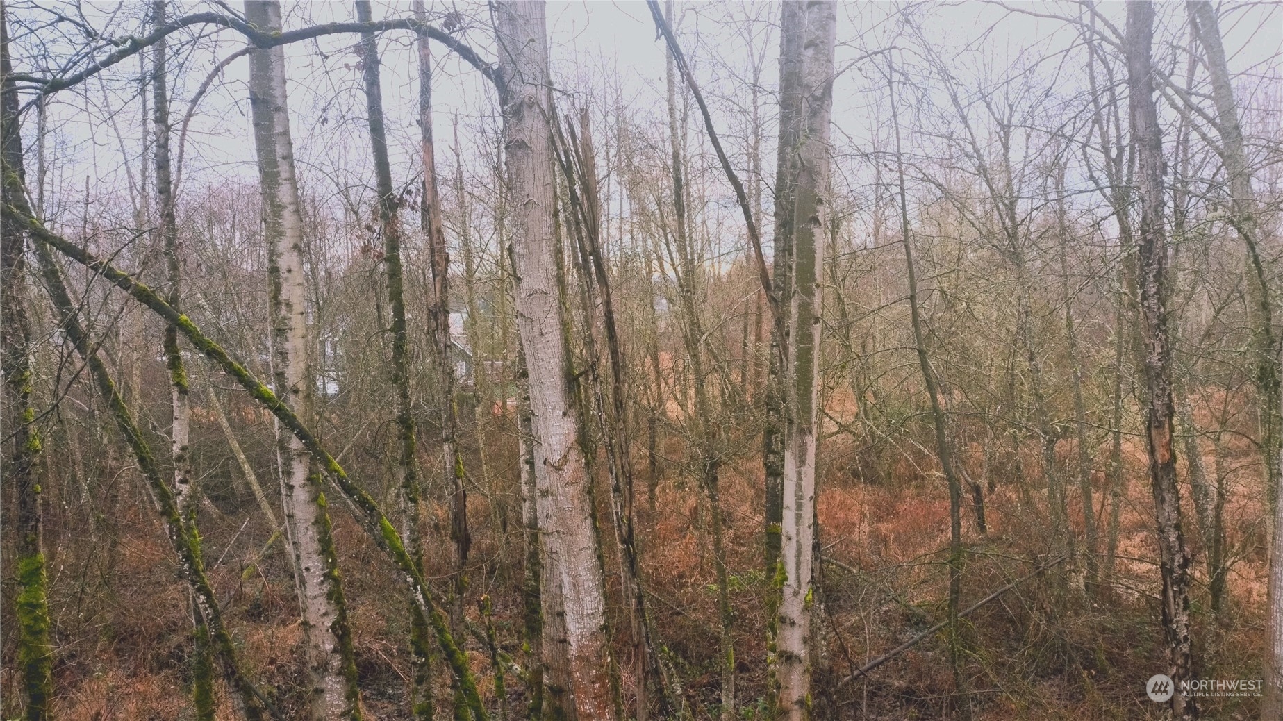 Beautiful views out of all the windows.  This is from the upstairs bedroom looking to the south where the is a fenced off area across the street that is treed and grassy.  More pics to come.