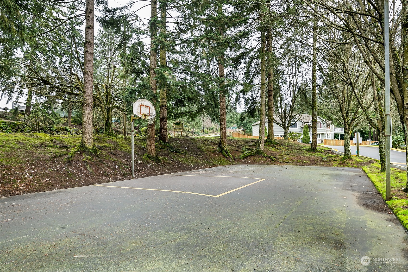 Community Basket ball court