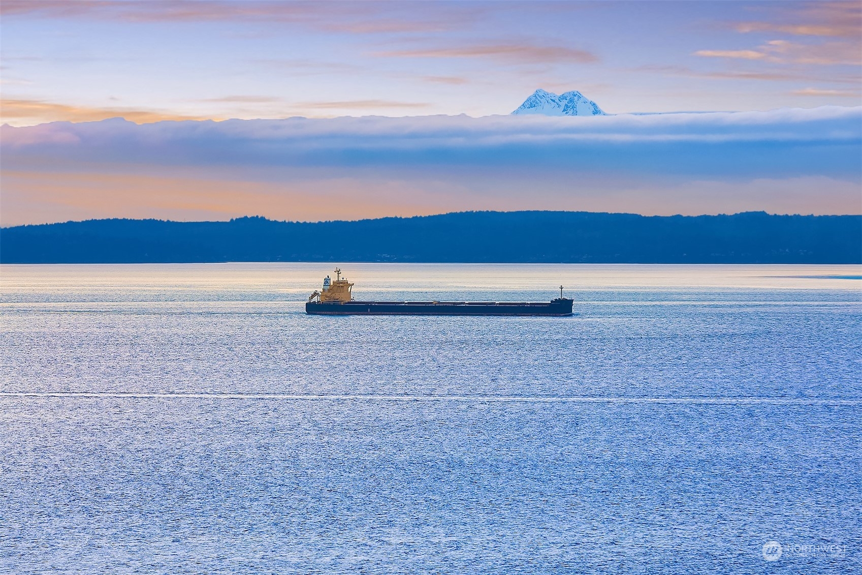 From the home and the patio you will see bald eagles, heron, whales, seals, as well as so many ships! Just look at the Olympics standing tall above the clouds!