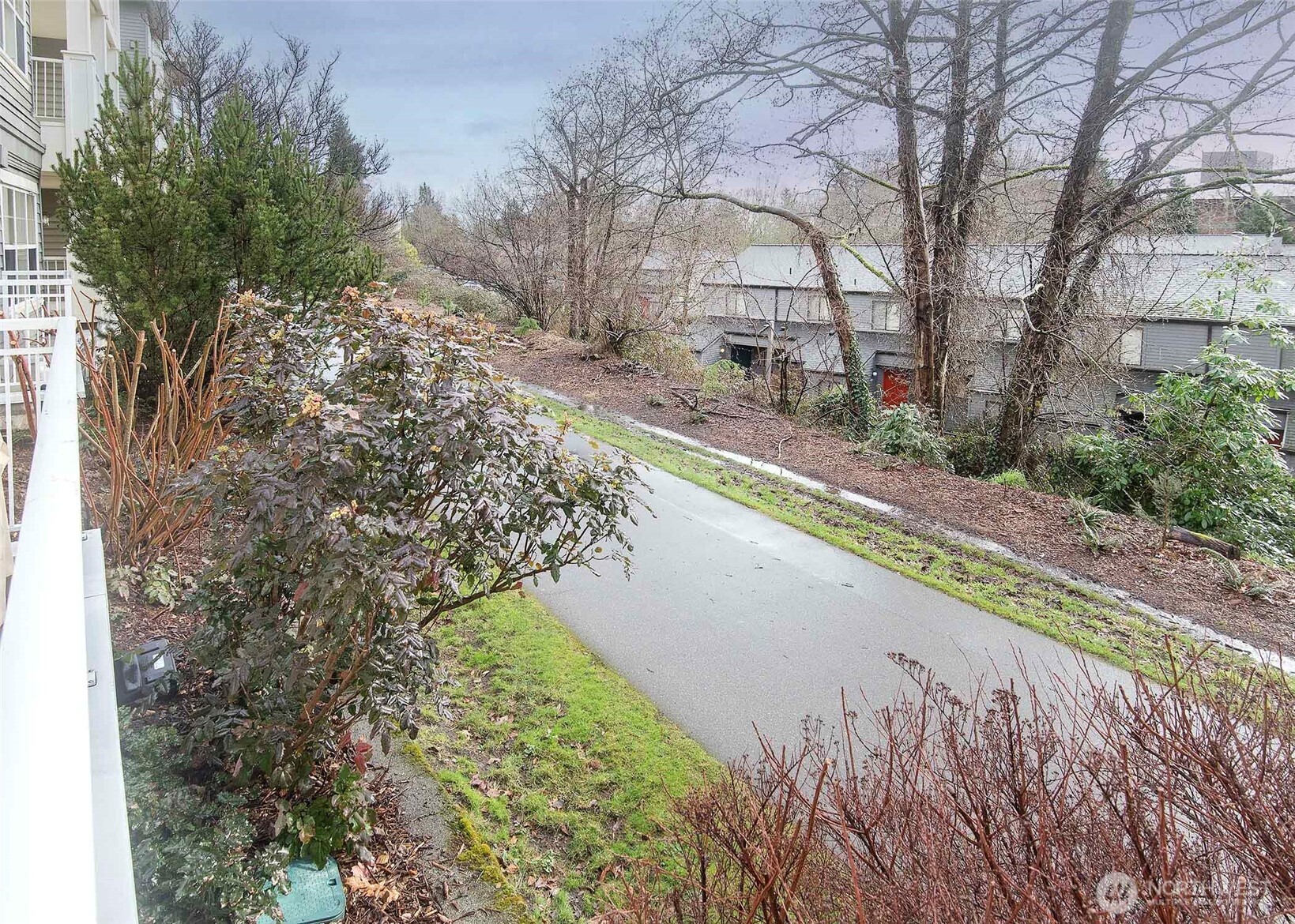 The Burke-Gilman trail located just behind the building