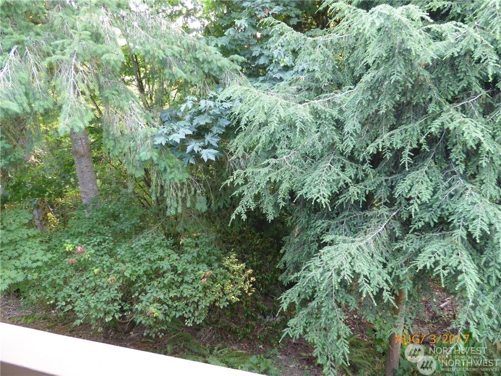 Greenbelt view from primary.    Photo from 2017 rental listing.