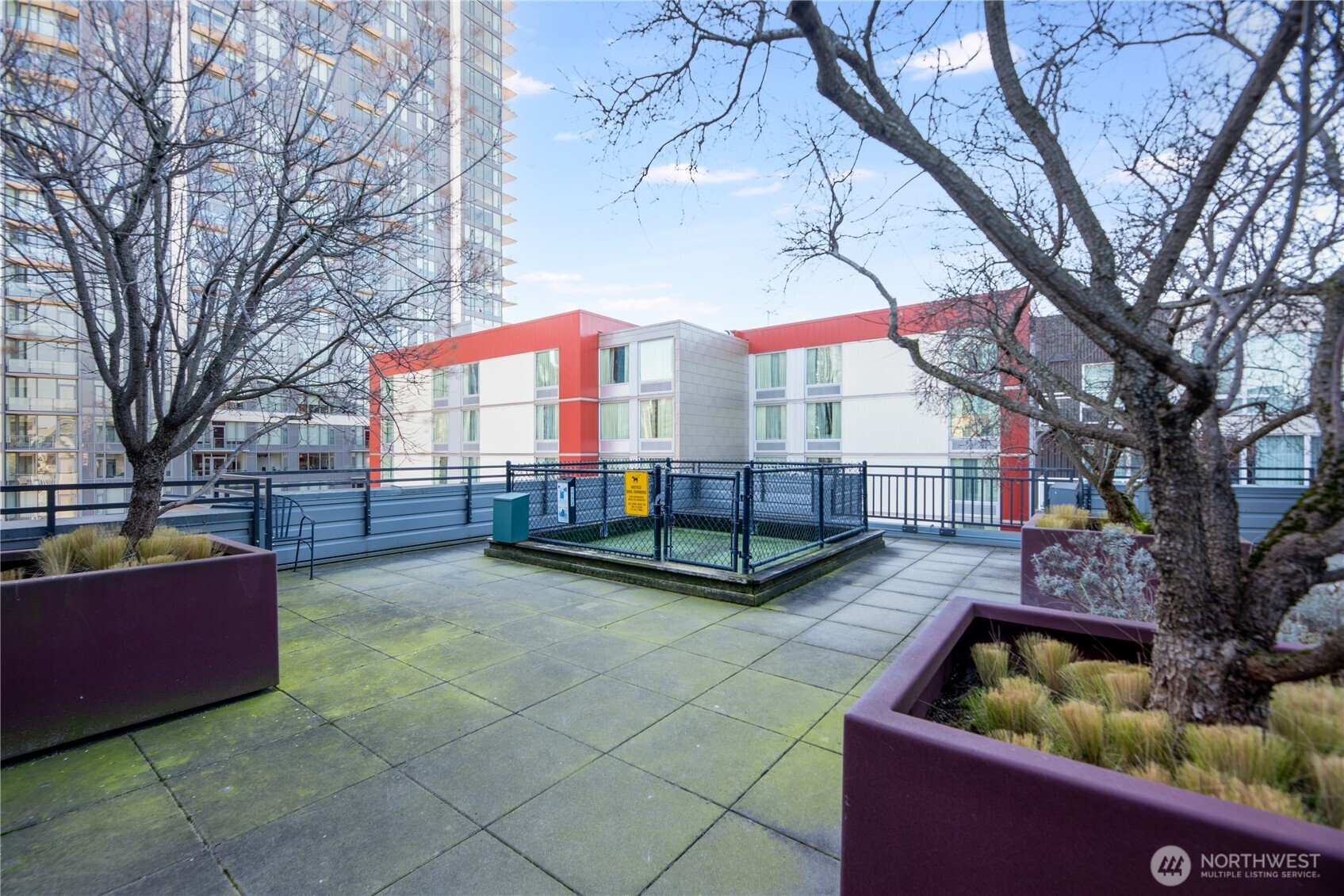 Rooftop deck - Dedicated pet area.