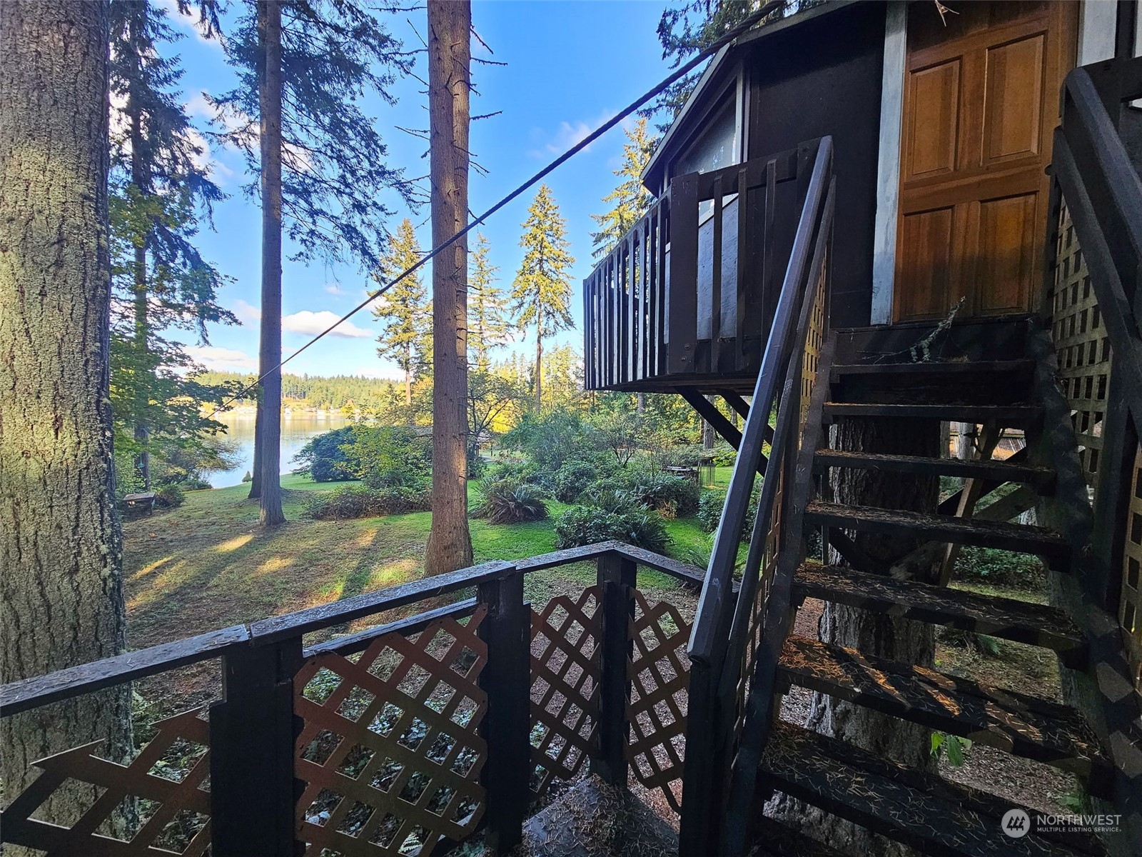 Tree House and Zip Line