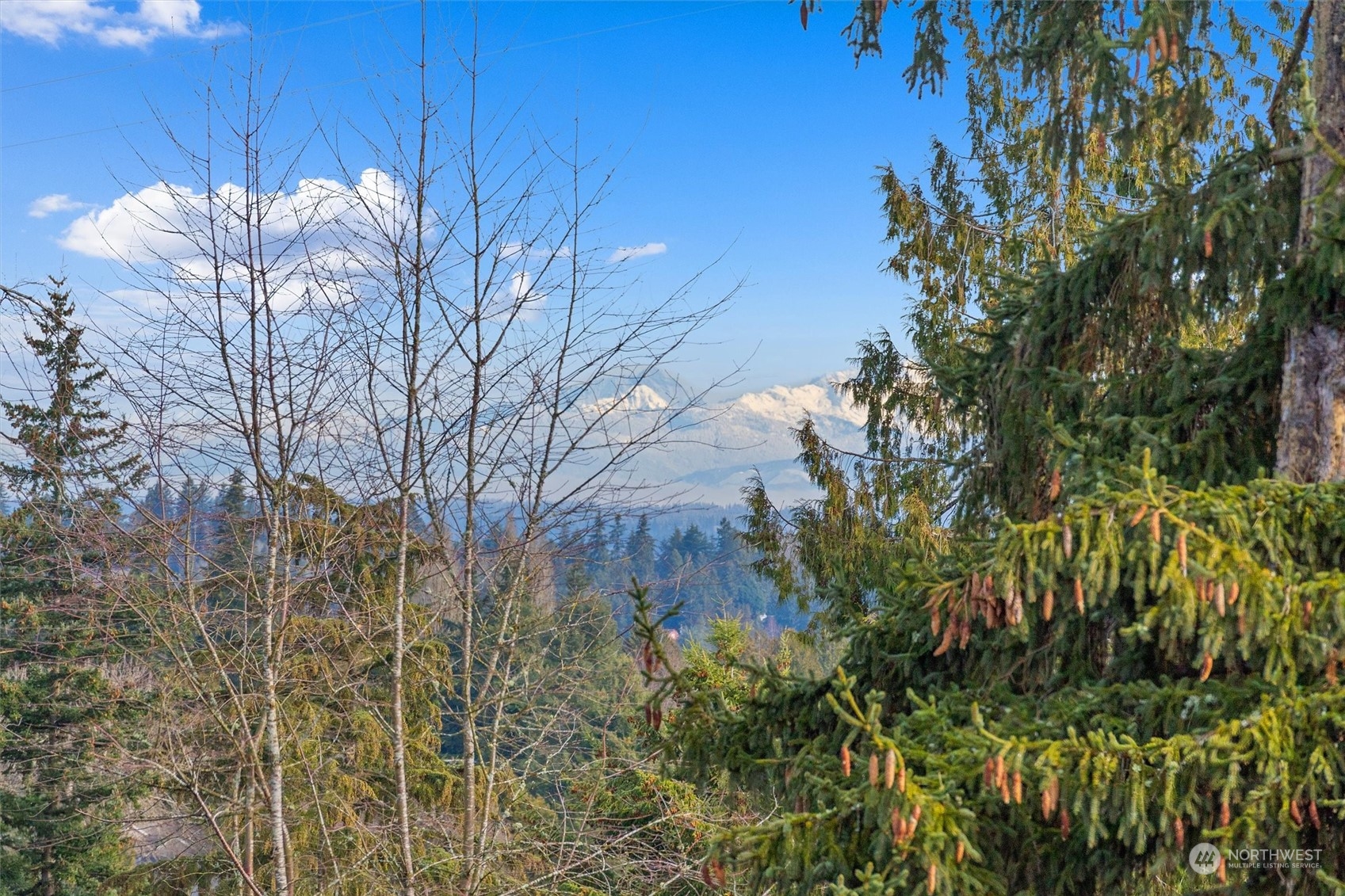 Wonderful easterly views of the Cascade Mountains from primary suite and rooftop deck.