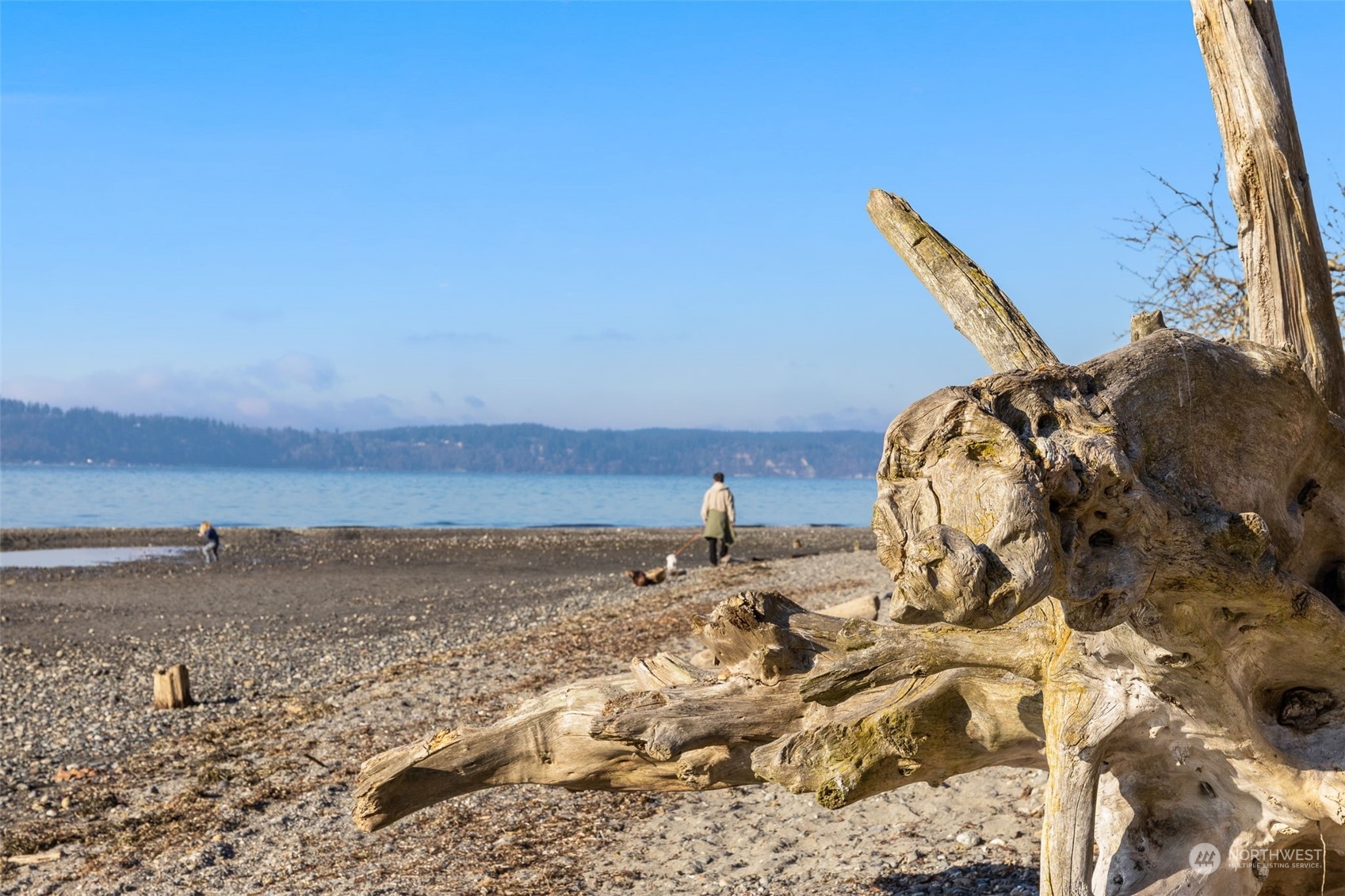 The driftwood-lined shore creates a unique touch to the peaceful beach environment nearby.