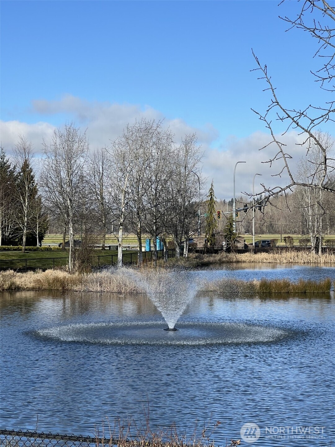 Tranquil pond with water features.