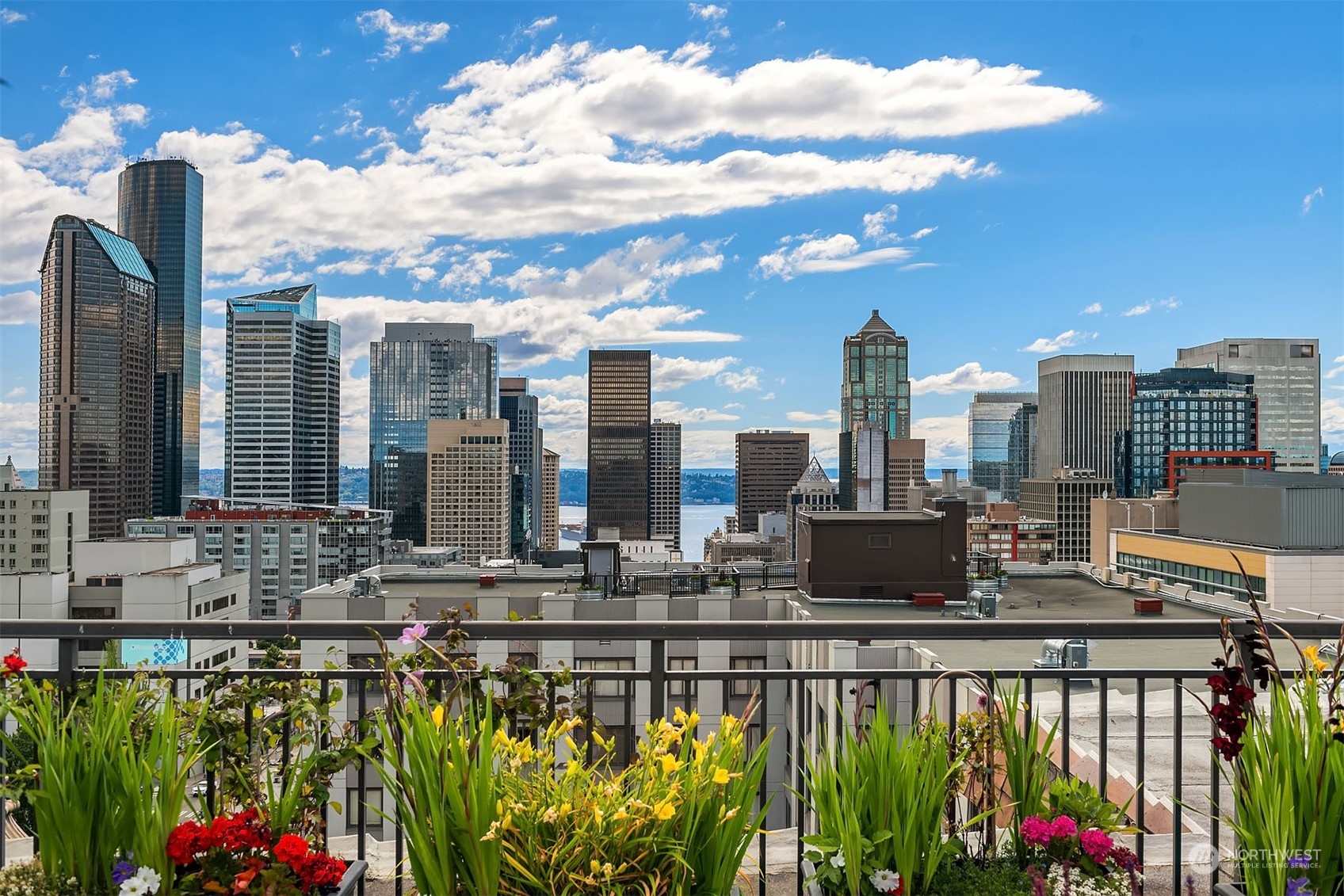 Stunning westerly facing view from one of the sitting areas on the shared roof deck. This shot was taken in the summer.