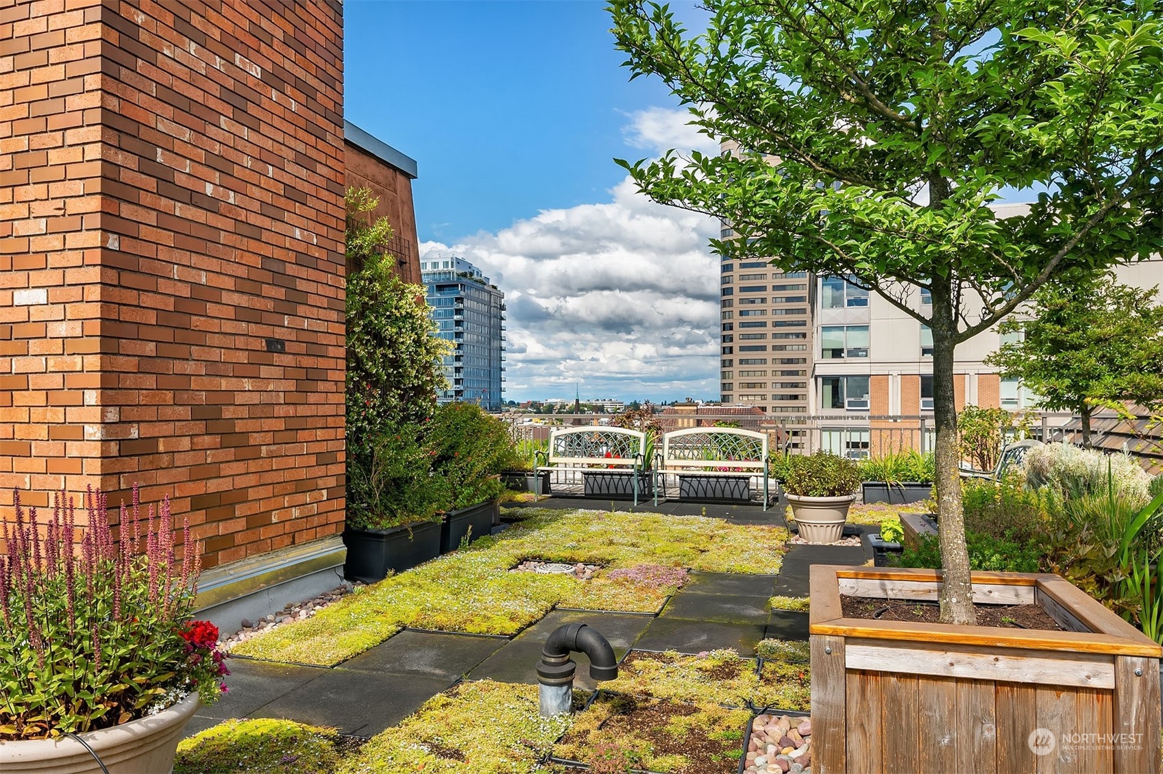 One of many shared garden spaces to enjoy on the roof deck. This shot was taken in the summer.