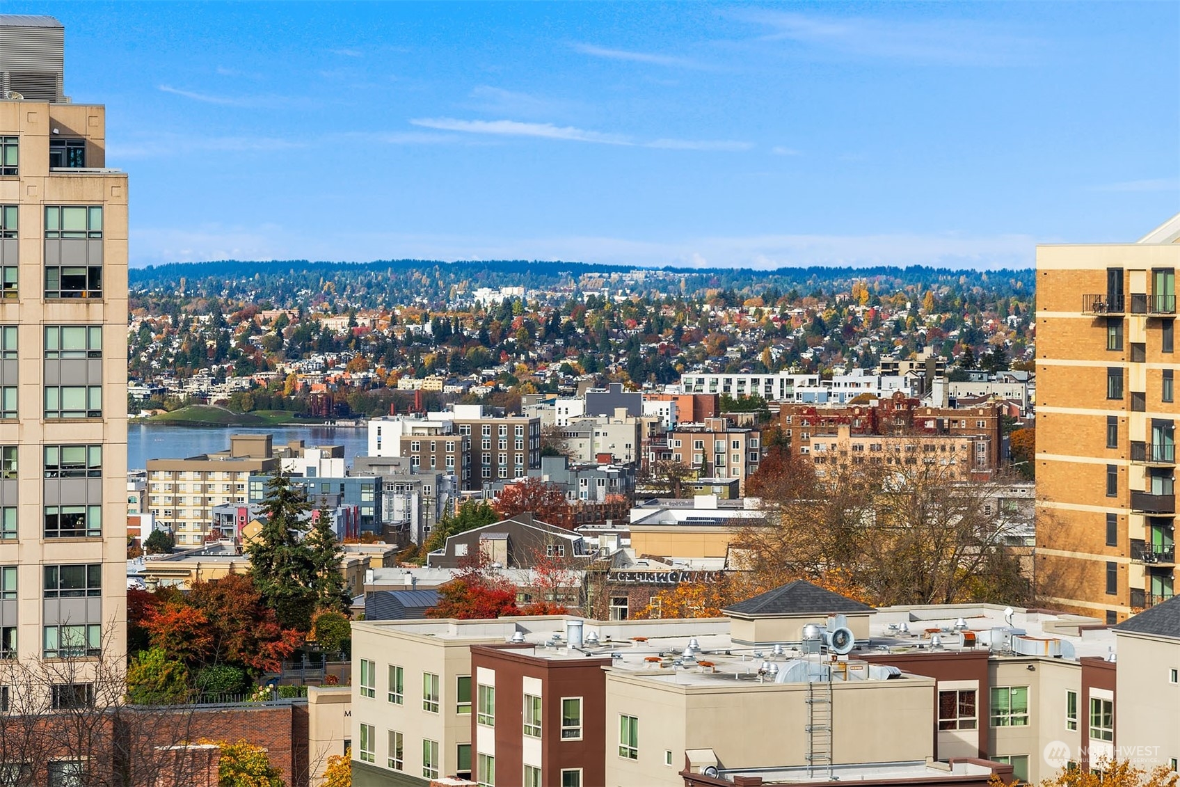 Crisp, glorious view from the living + dining room.