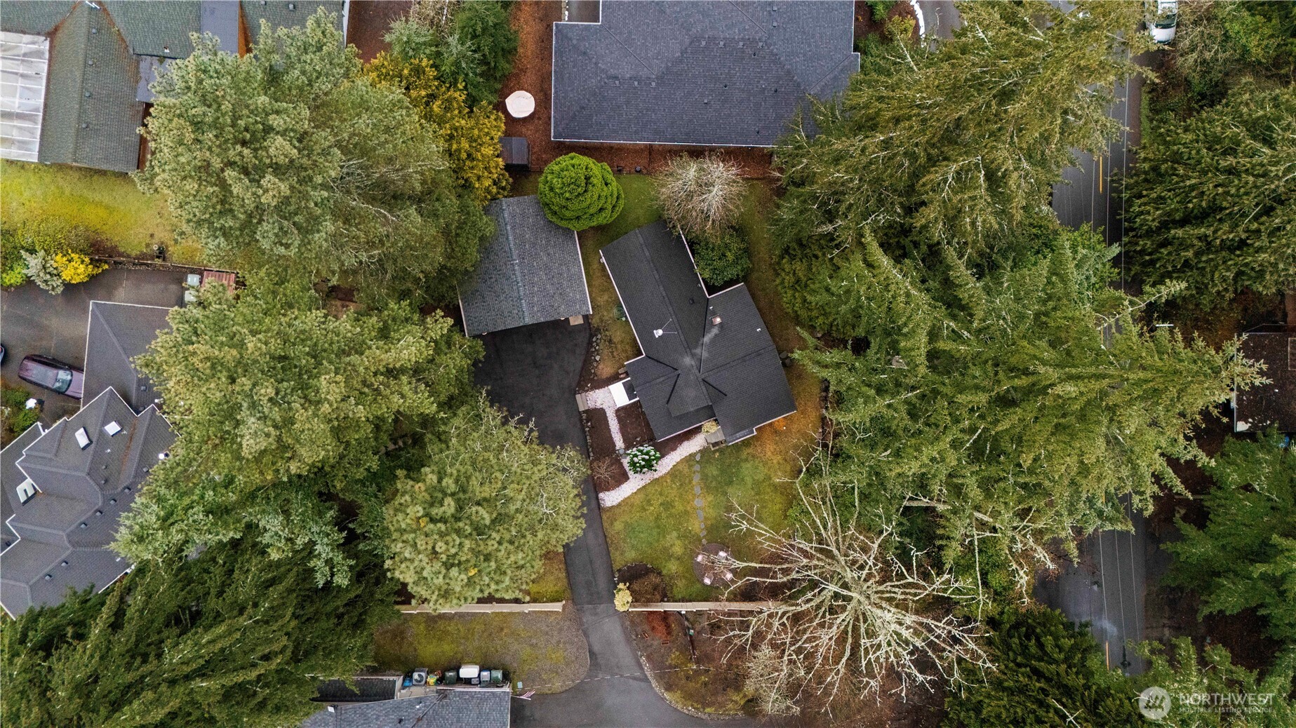 Drone shot showing the mature trees on the 1/3 acre lot.