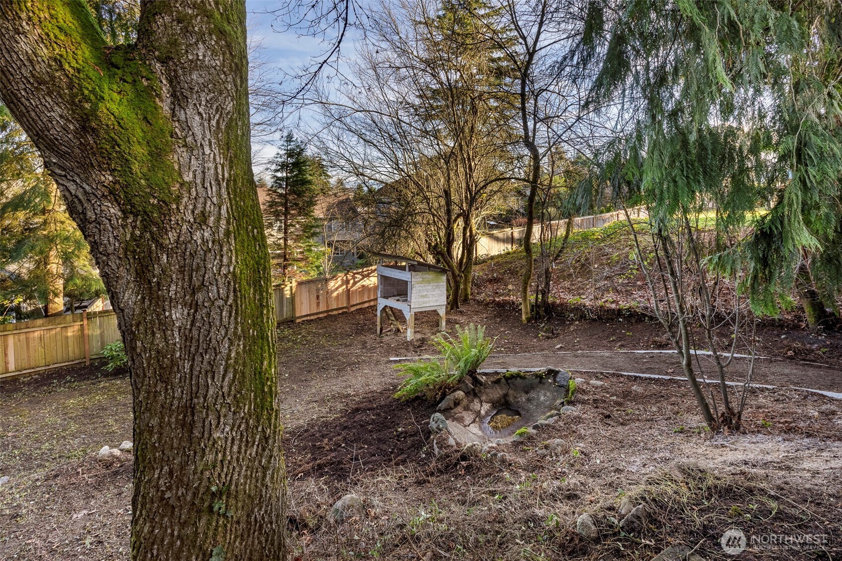 Chicken Coop/Rabbit Hutch and Man-made Pond