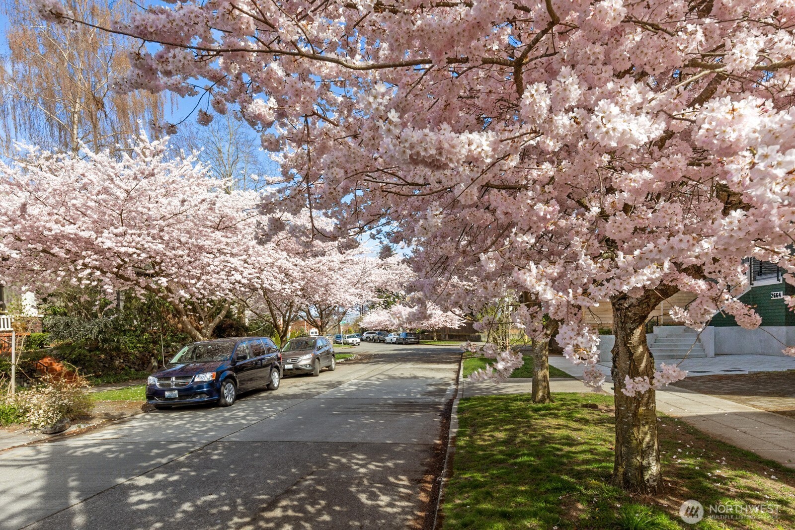 Experience one of the prettiest Spring shows on this quintessential street where locals flock for selfies!