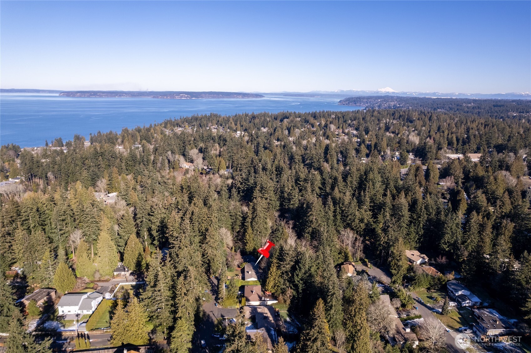 Aerial view of neighborhood. Lots of trees for that PNW ambience.