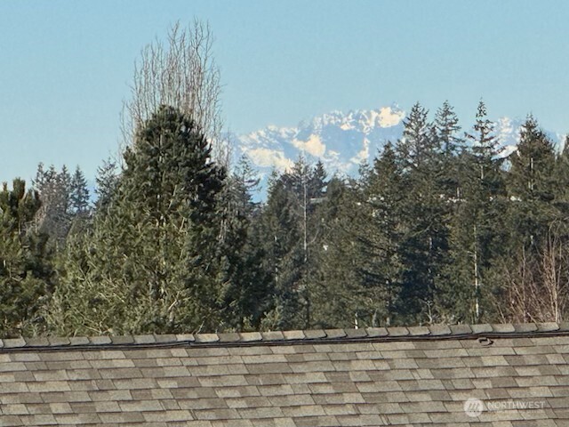 You can even see peek a boo views of the Olympic Mountains