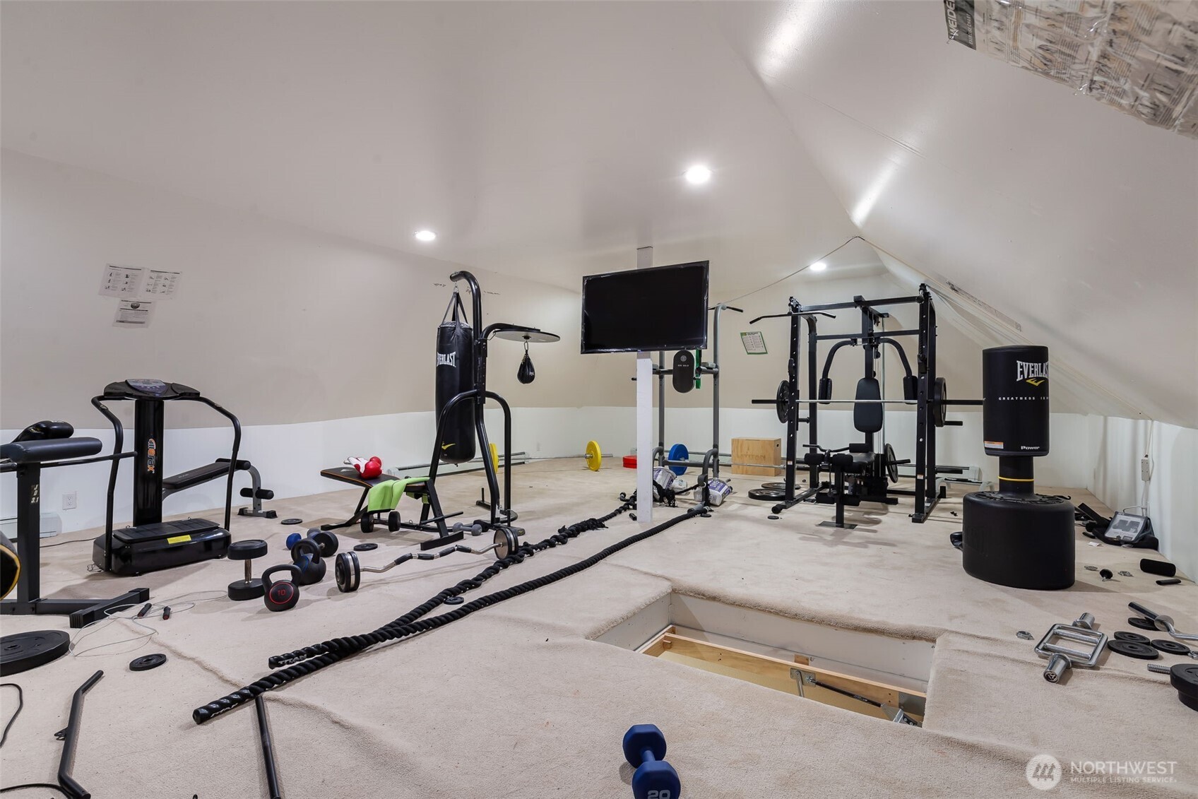 Attic Gym