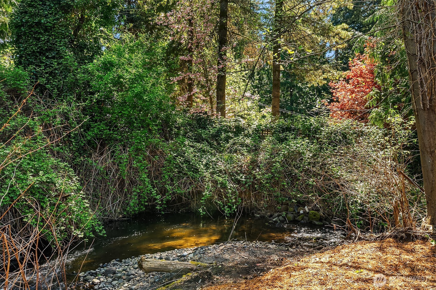 The large, 1.5 acre arboretum-like permanently preserved open space provides direct access to the north fork of Thornton Creek.