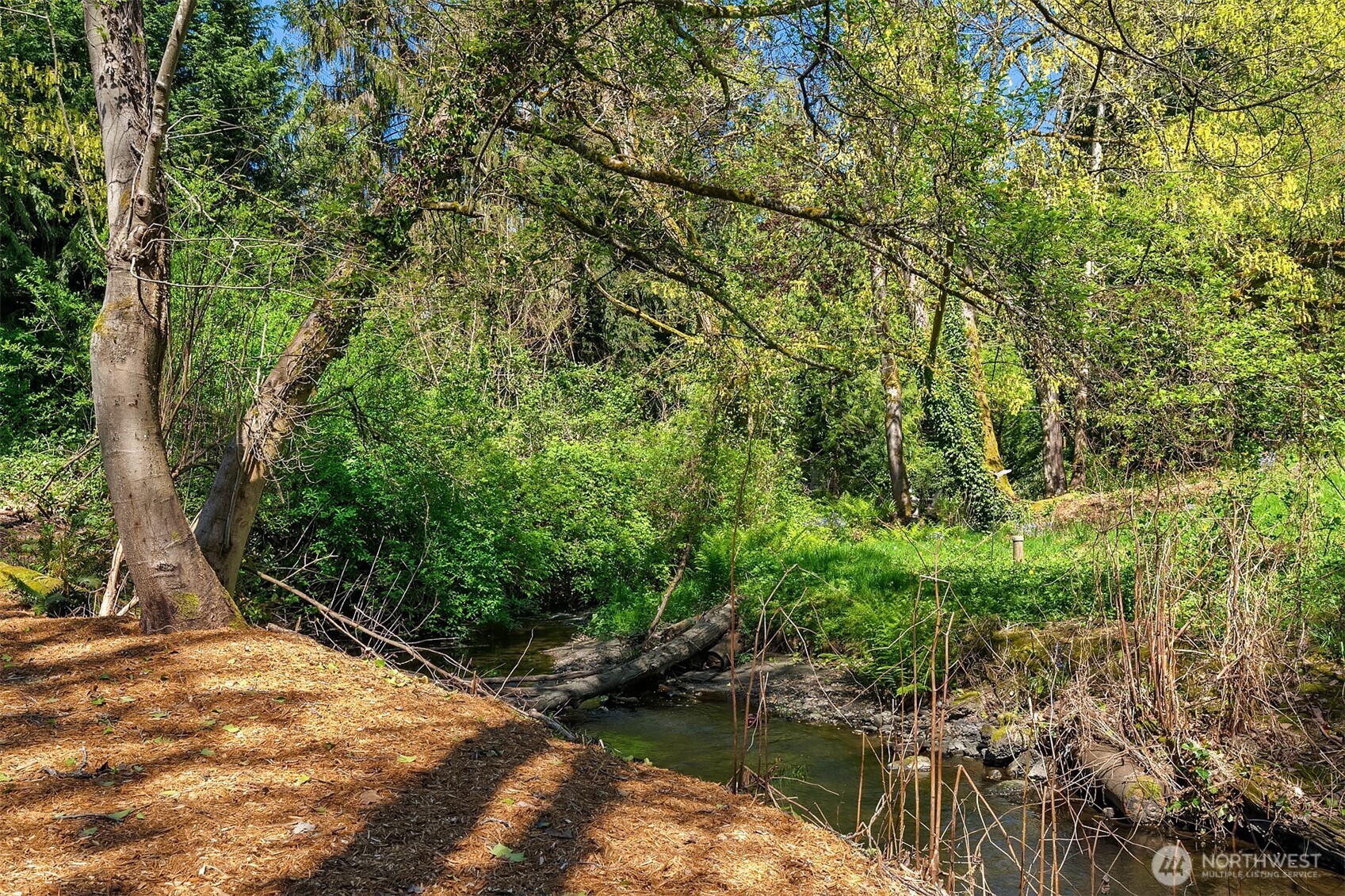 The large, 1.5 acre arboretum-like permanently preserved open space provides direct access to the north fork of Thornton Creek. Come sit a spell and watch the heron fish?