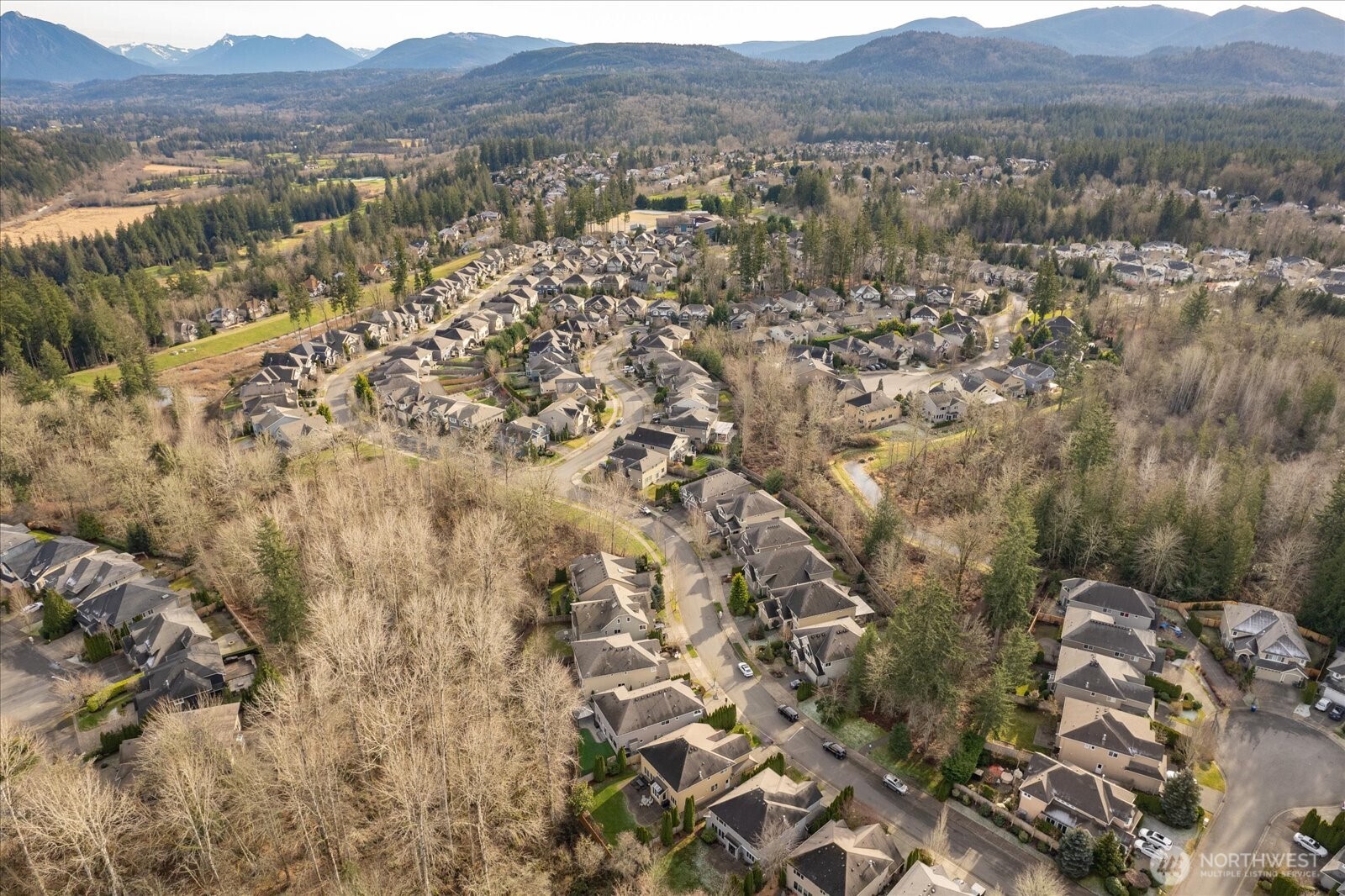 Gorgeous views of the Cascade foothills!