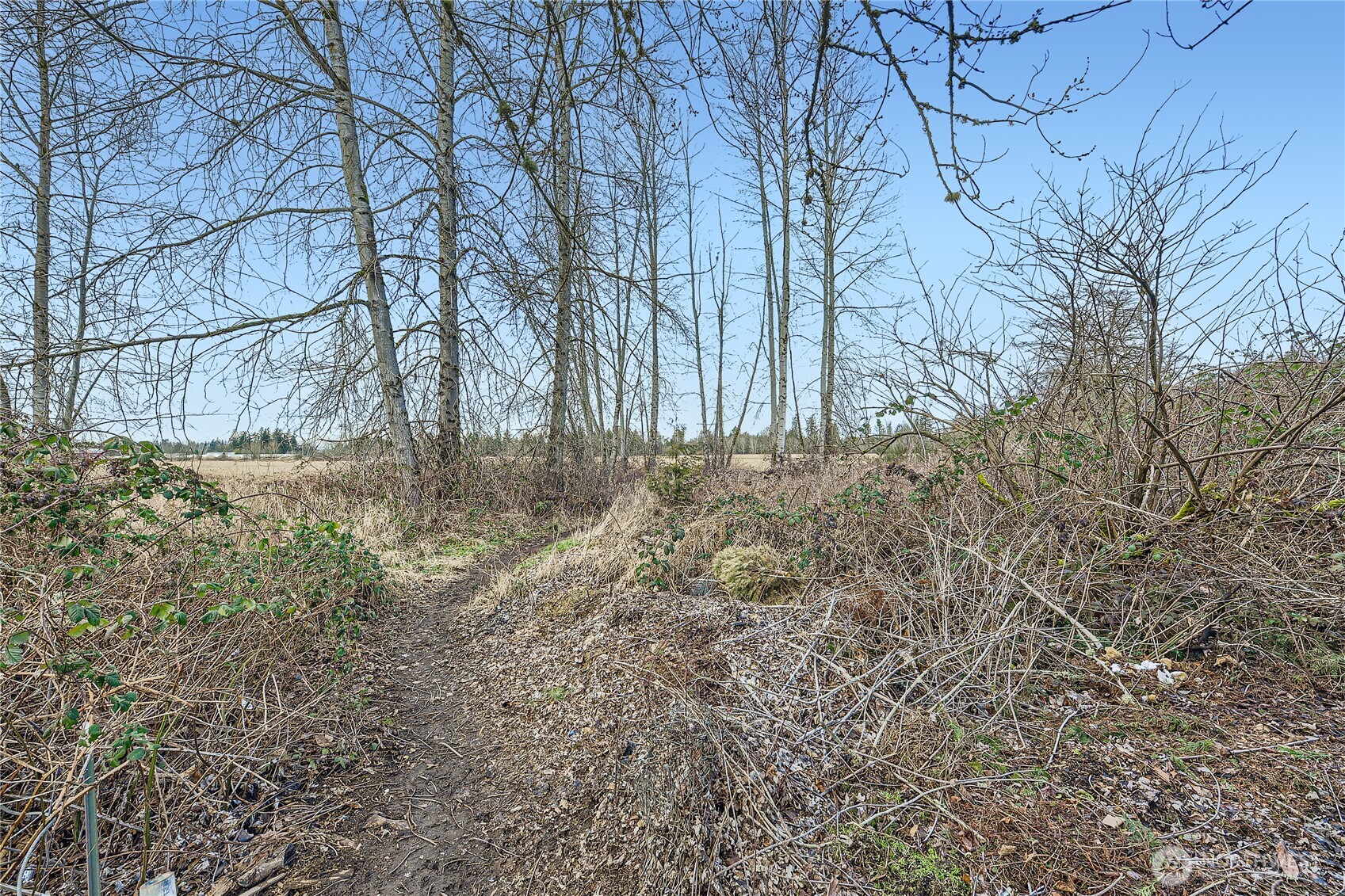 While its not pretty now, once this greens up the open space behind and to the side of the home adds that extra privacy