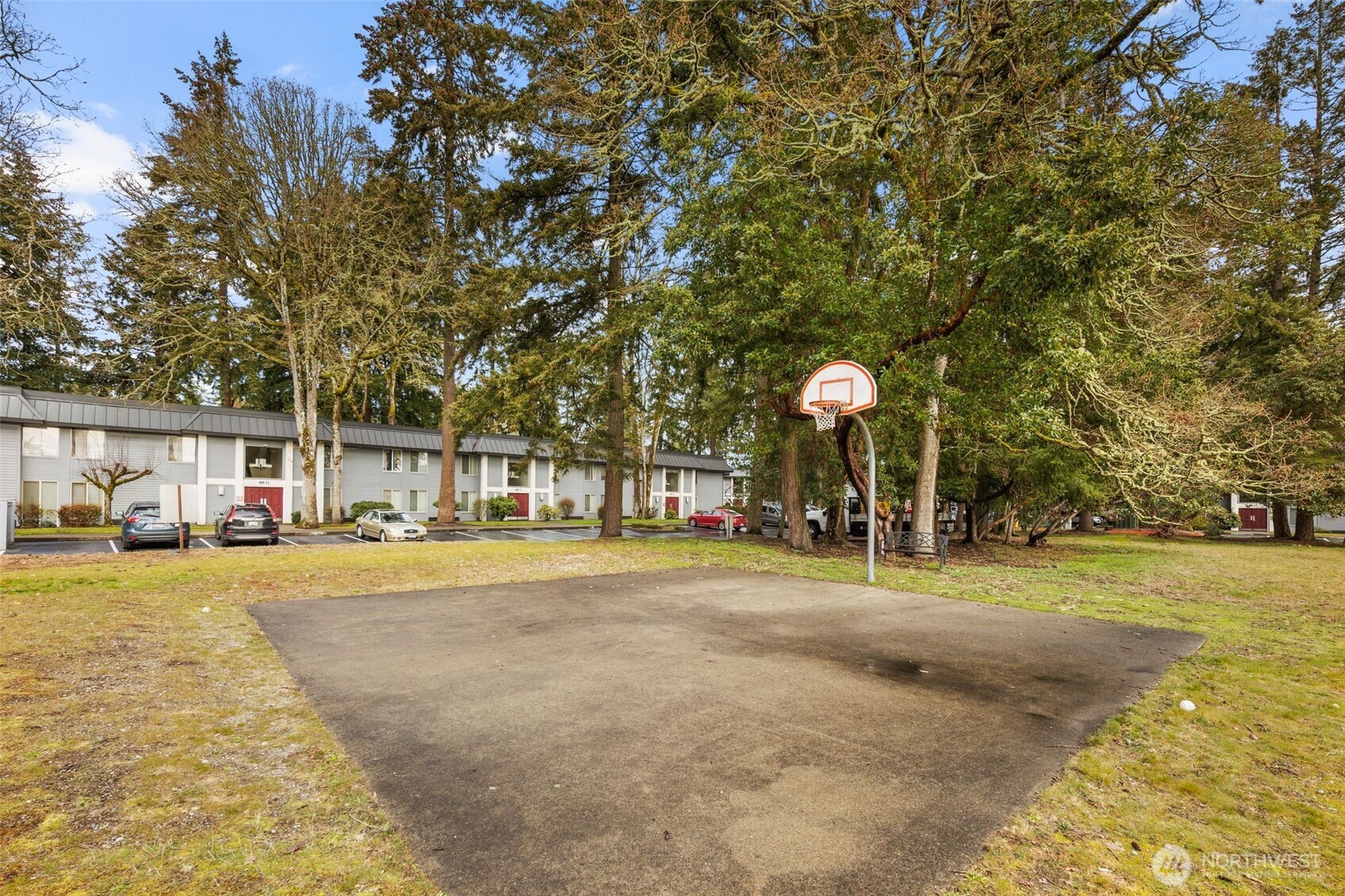 Basketball Court