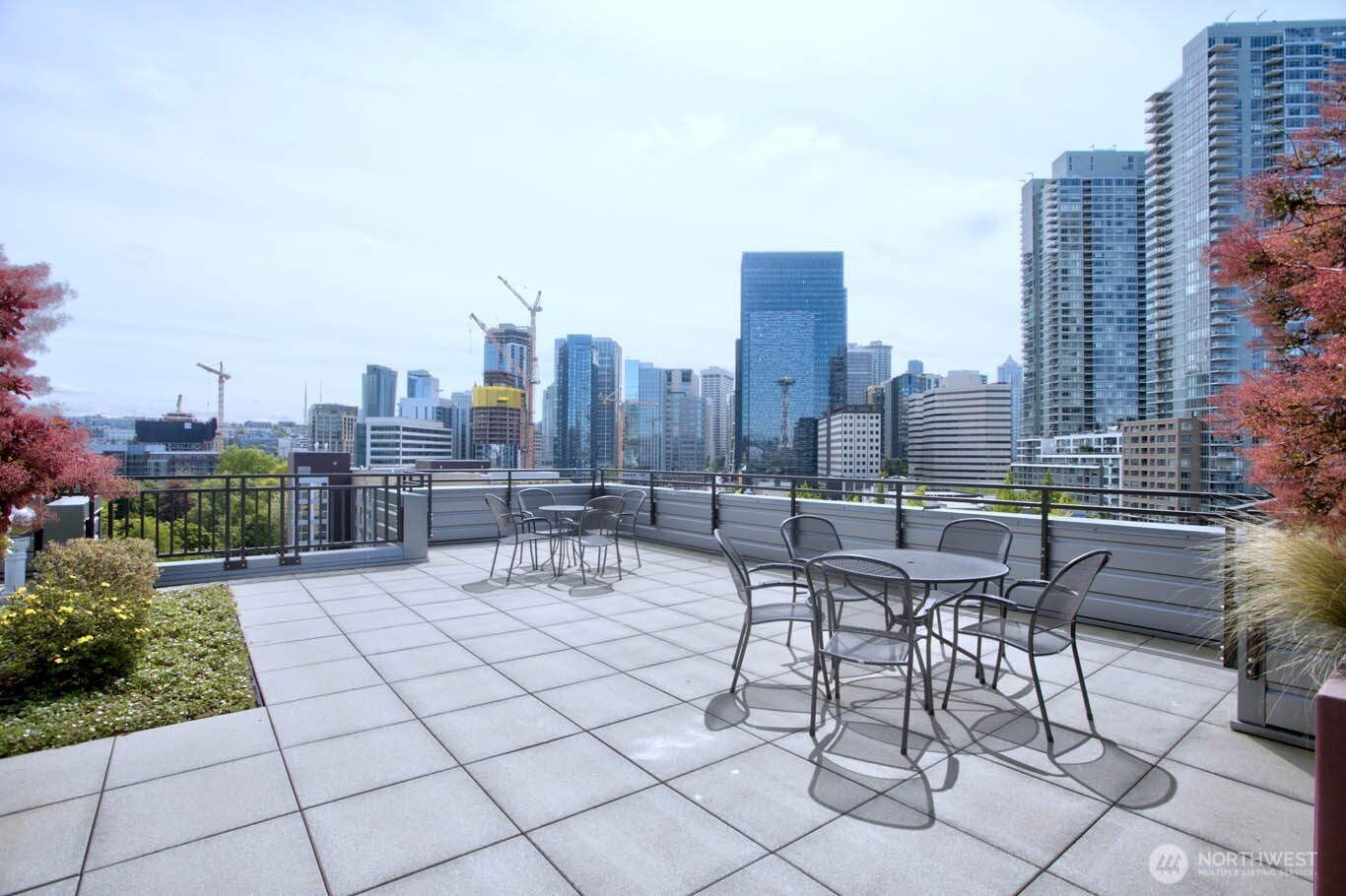 Pet relief area on rooftop