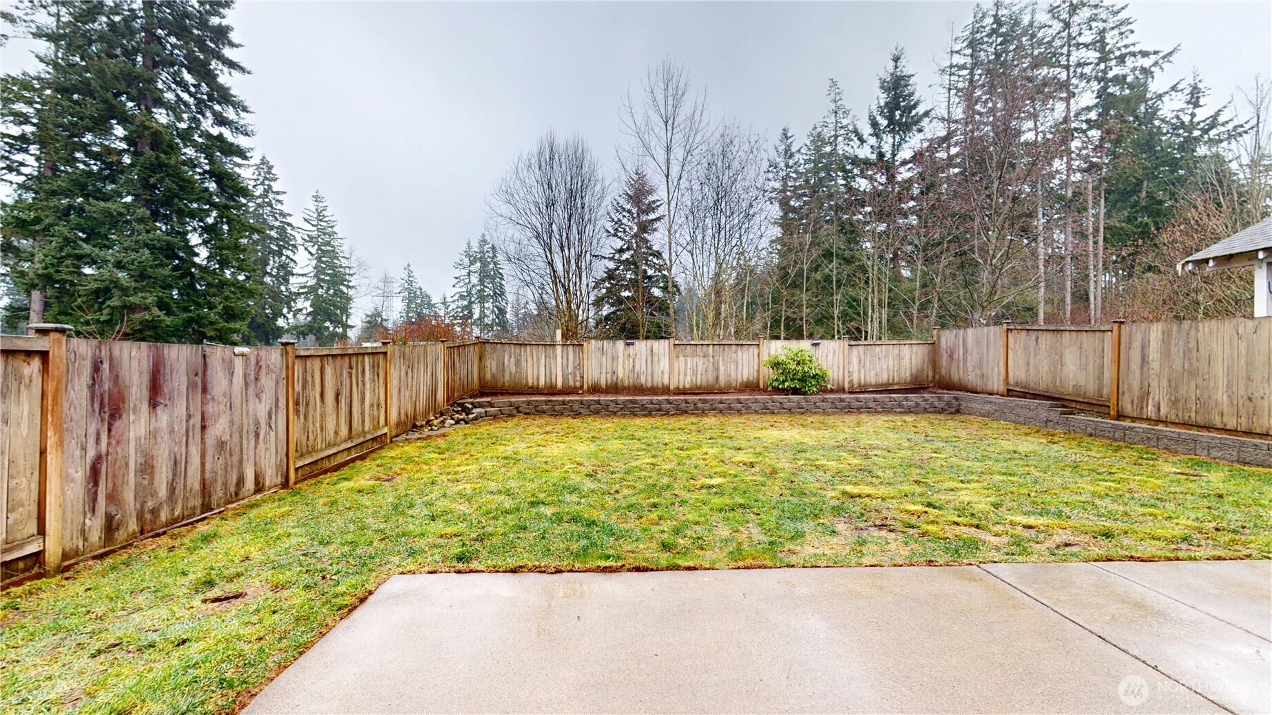 large back yard backing up to open space