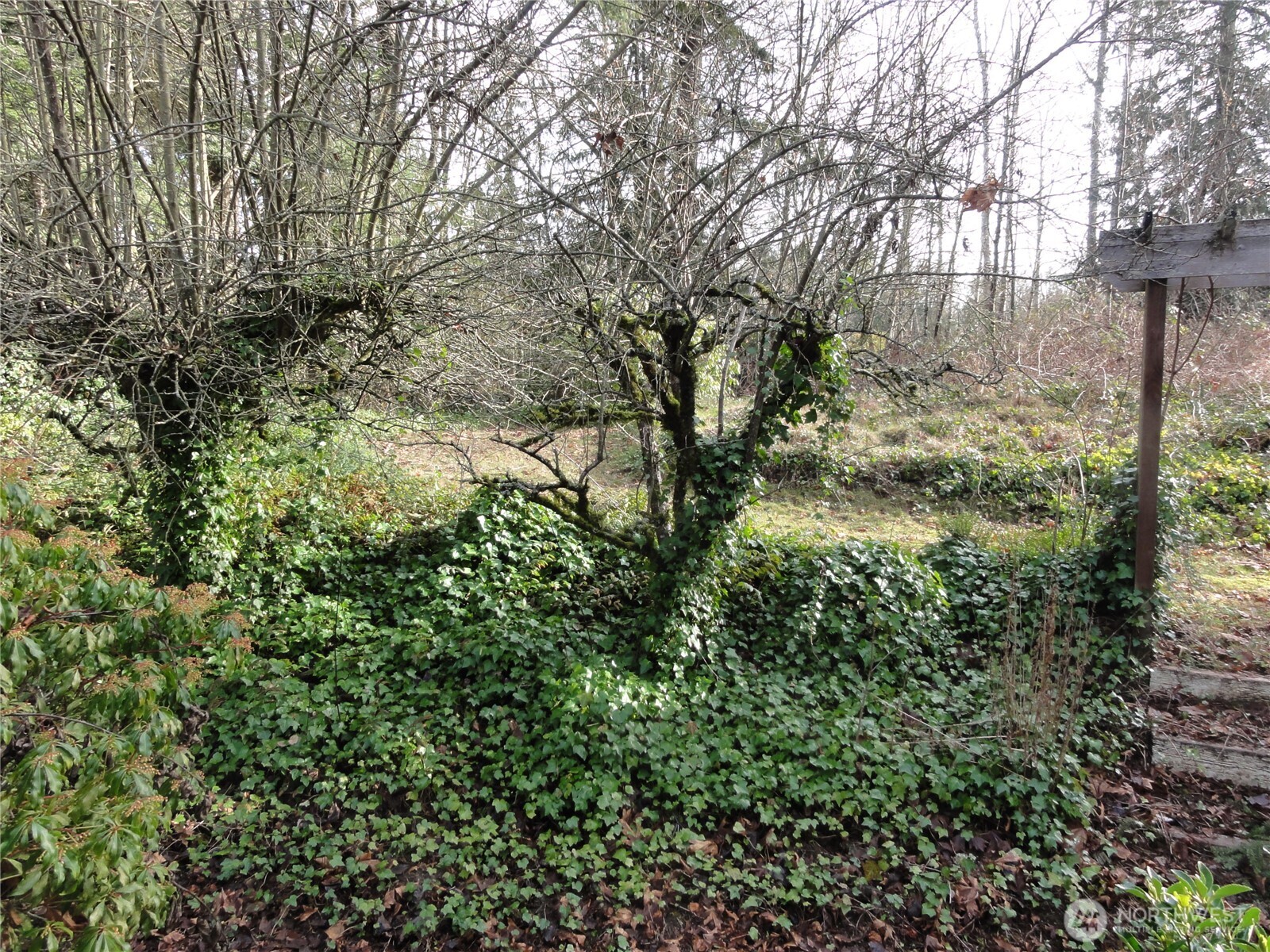 Back yard with paths and sitting area.