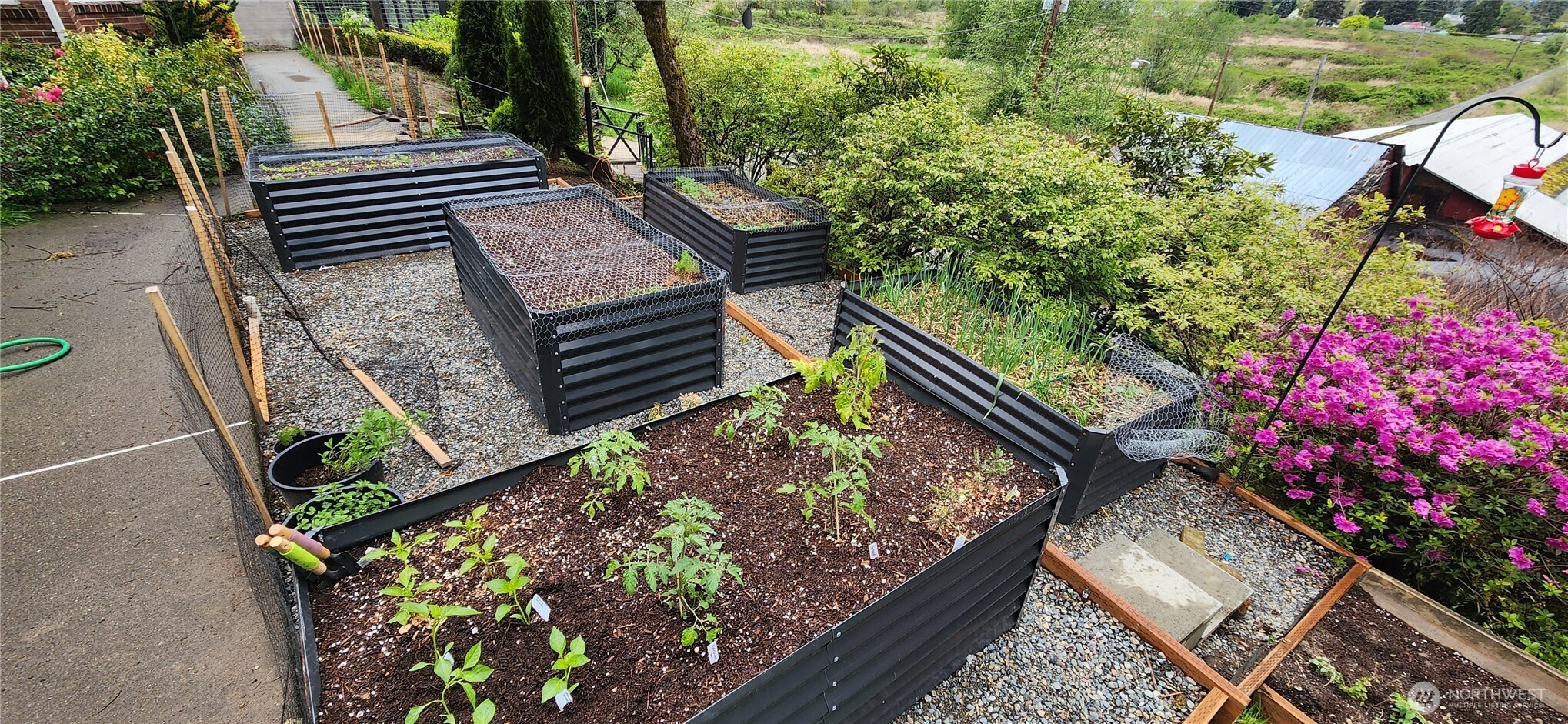 Raised Garden Beds