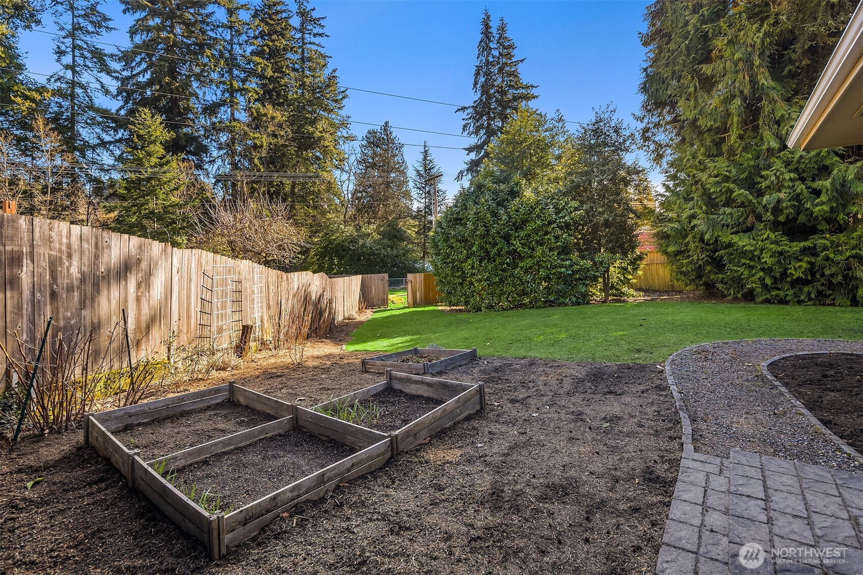 Garden beds surrounded by greenery and privacy fencing.